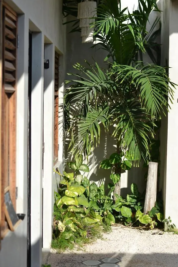 Hostel Hostal Dona Lucha Tulum